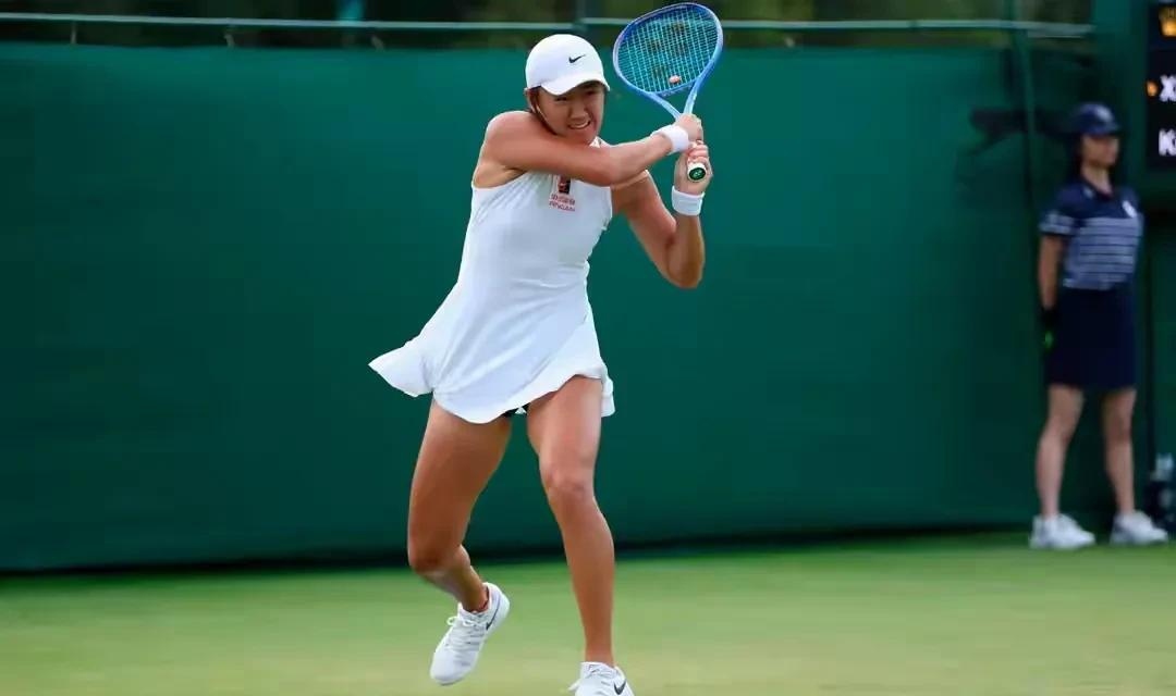 温网横扫法网，蒂姆高光表现