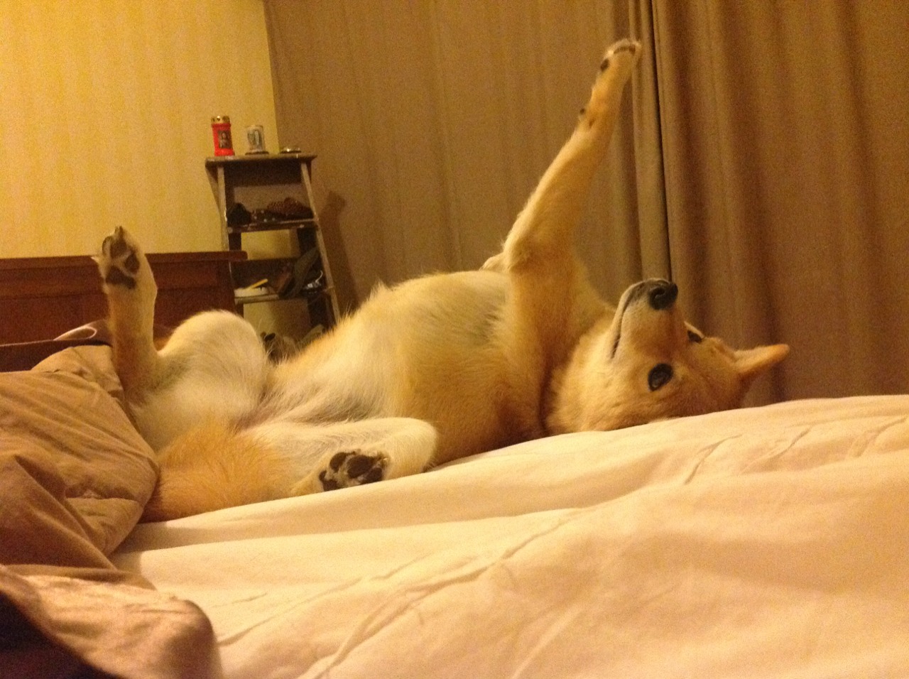 赛道与球场，当F1新赛季揭幕战之夜，哈登打出生涯之夜